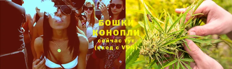 Бошки марихуана White Widow  гидра ССЫЛКА  Гусь-Хрустальный 